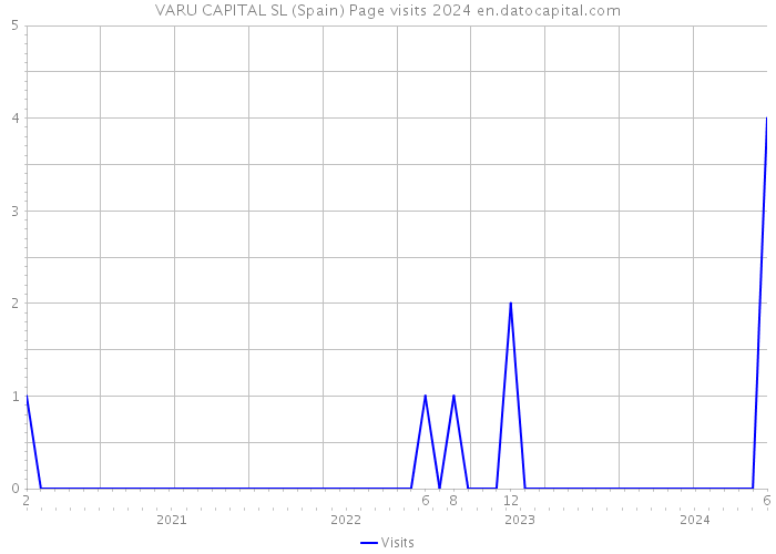 VARU CAPITAL SL (Spain) Page visits 2024 