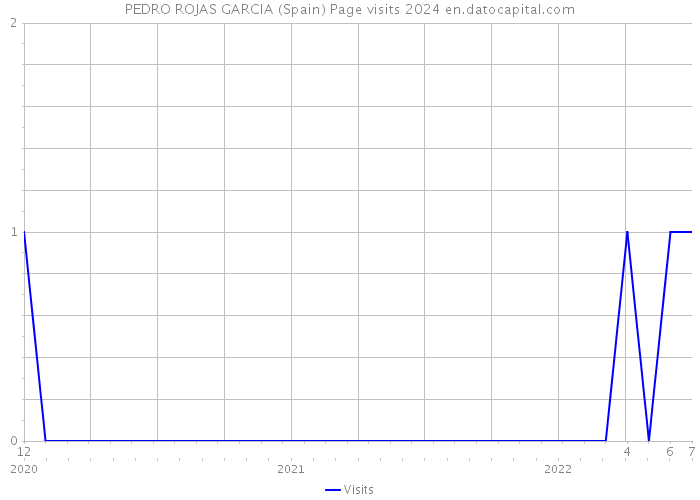 PEDRO ROJAS GARCIA (Spain) Page visits 2024 