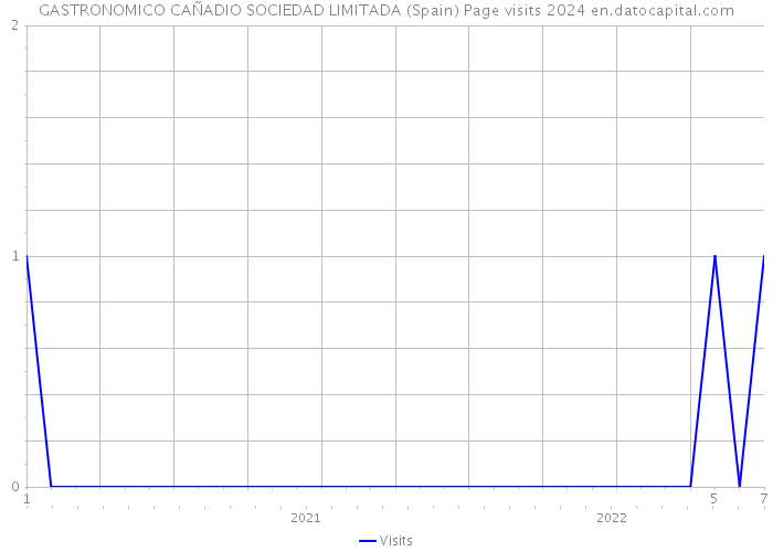 GASTRONOMICO CAÑADIO SOCIEDAD LIMITADA (Spain) Page visits 2024 