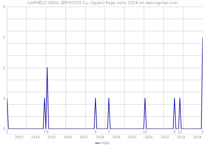GARNELO VIDAL SERVICIOS S.L. (Spain) Page visits 2024 