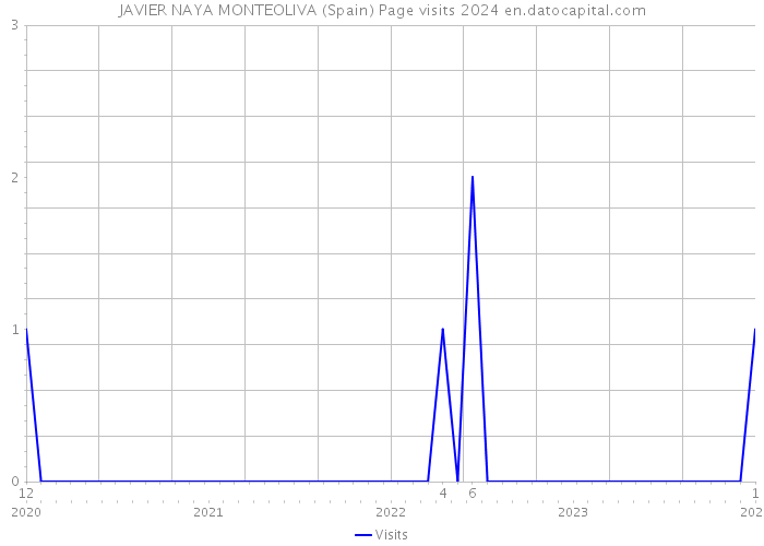 JAVIER NAYA MONTEOLIVA (Spain) Page visits 2024 