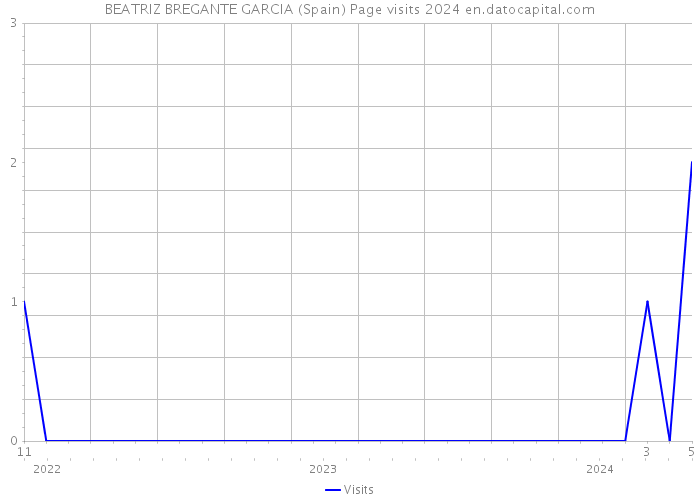 BEATRIZ BREGANTE GARCIA (Spain) Page visits 2024 
