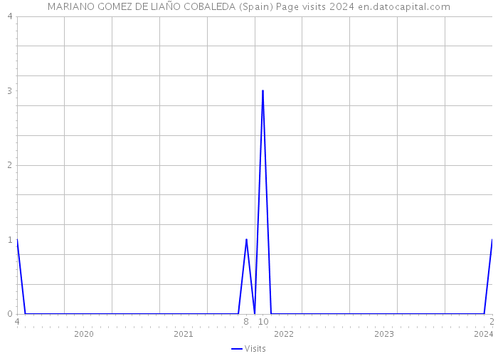 MARIANO GOMEZ DE LIAÑO COBALEDA (Spain) Page visits 2024 