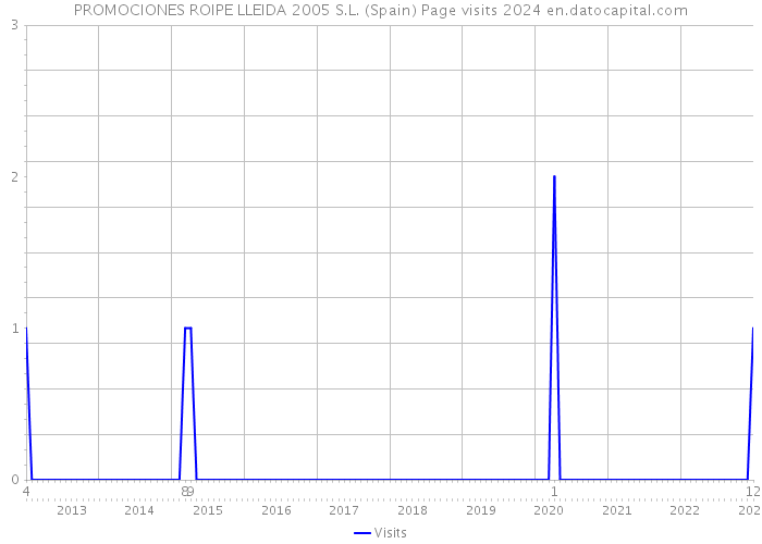PROMOCIONES ROIPE LLEIDA 2005 S.L. (Spain) Page visits 2024 