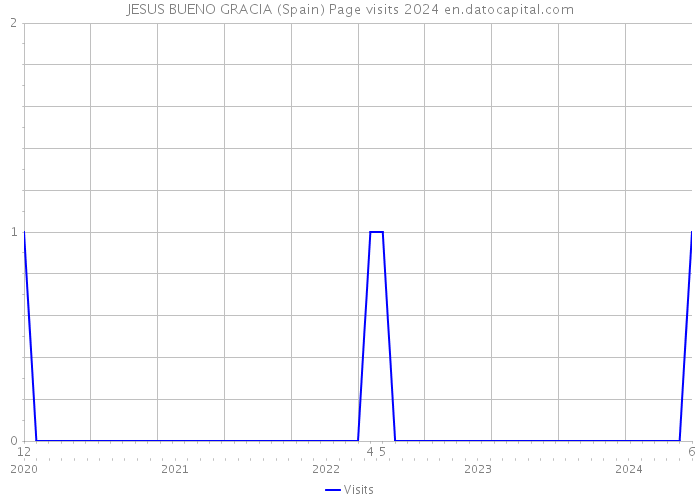 JESUS BUENO GRACIA (Spain) Page visits 2024 