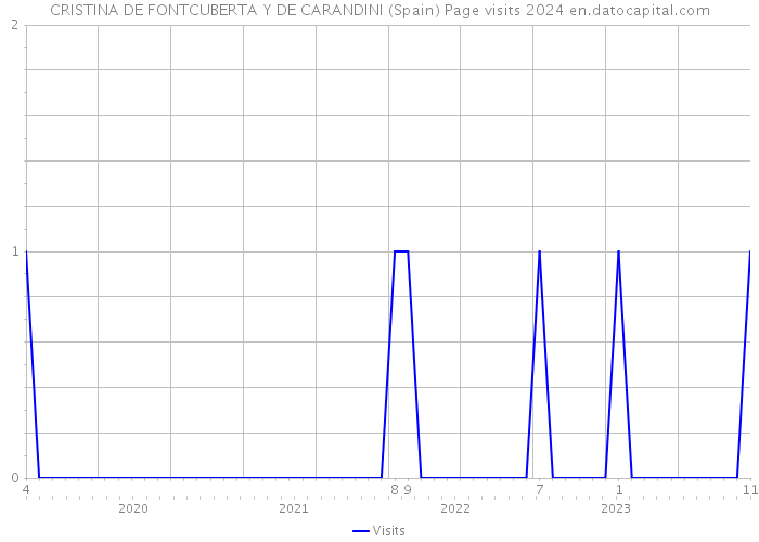 CRISTINA DE FONTCUBERTA Y DE CARANDINI (Spain) Page visits 2024 