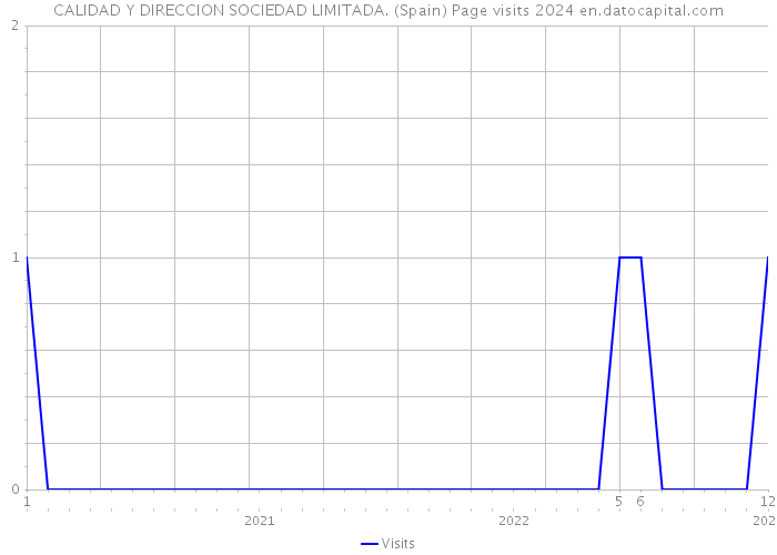 CALIDAD Y DIRECCION SOCIEDAD LIMITADA. (Spain) Page visits 2024 