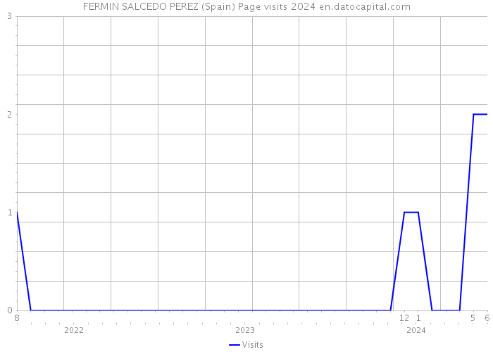 FERMIN SALCEDO PEREZ (Spain) Page visits 2024 