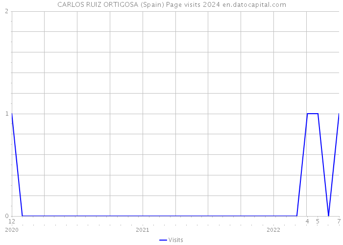 CARLOS RUIZ ORTIGOSA (Spain) Page visits 2024 