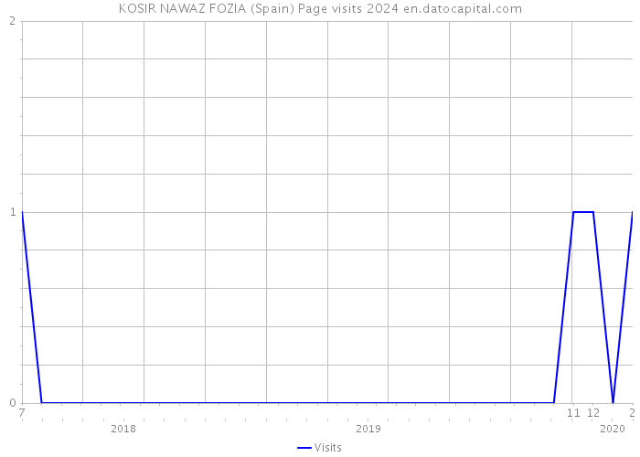 KOSIR NAWAZ FOZIA (Spain) Page visits 2024 