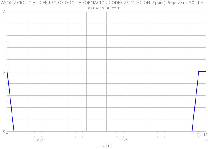 ASOCIACION CIVIL CENTRO OBRERO DE FORMACION CODEF ASOCIACION (Spain) Page visits 2024 