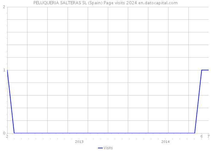 PELUQUERIA SALTERAS SL (Spain) Page visits 2024 