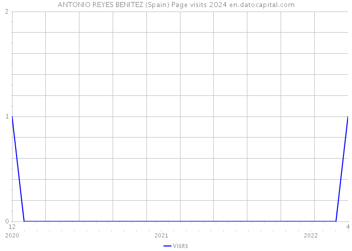 ANTONIO REYES BENITEZ (Spain) Page visits 2024 