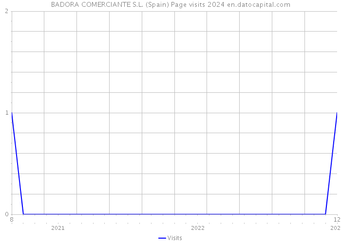BADORA COMERCIANTE S.L. (Spain) Page visits 2024 