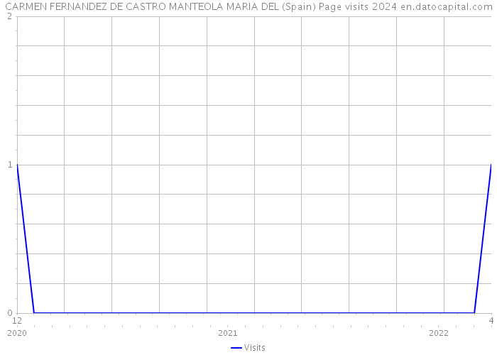 CARMEN FERNANDEZ DE CASTRO MANTEOLA MARIA DEL (Spain) Page visits 2024 