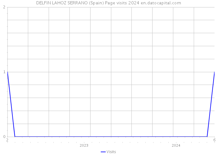 DELFIN LAHOZ SERRANO (Spain) Page visits 2024 