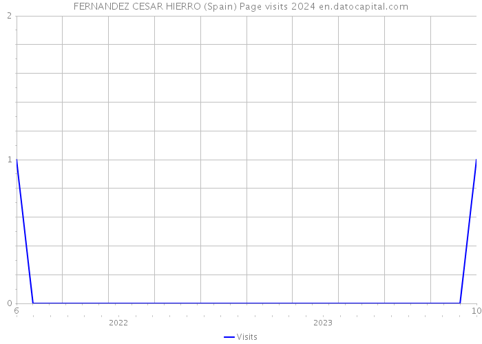 FERNANDEZ CESAR HIERRO (Spain) Page visits 2024 