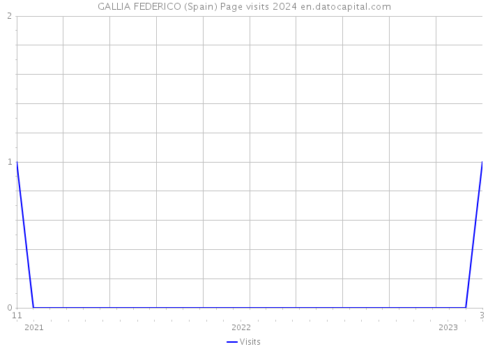 GALLIA FEDERICO (Spain) Page visits 2024 