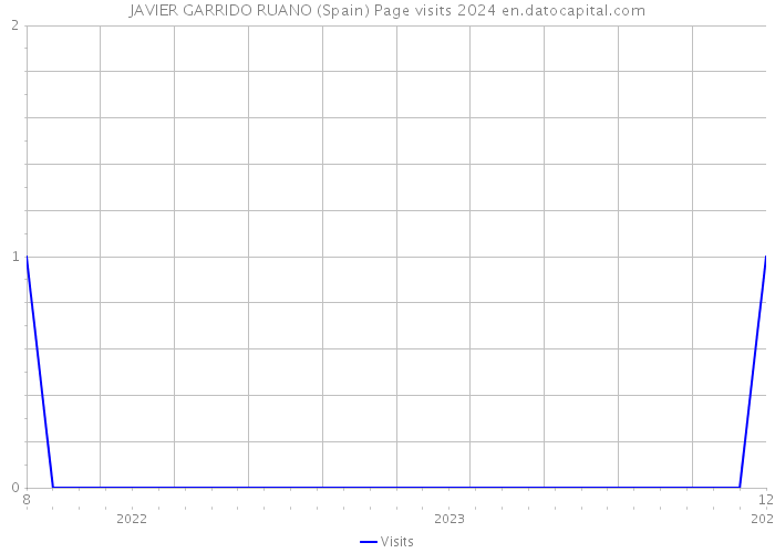 JAVIER GARRIDO RUANO (Spain) Page visits 2024 