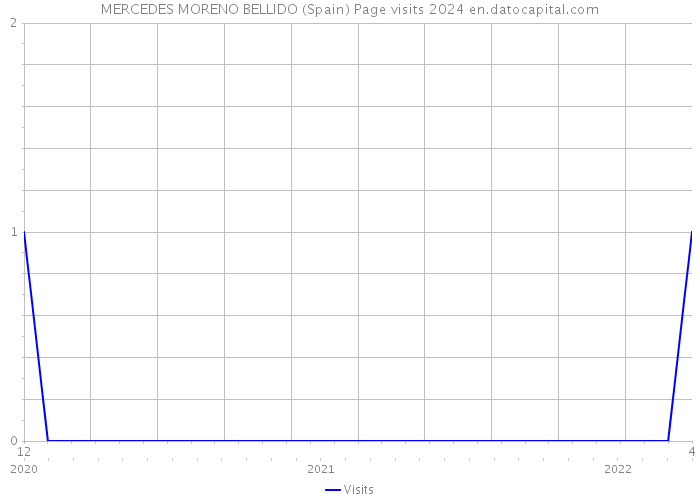 MERCEDES MORENO BELLIDO (Spain) Page visits 2024 