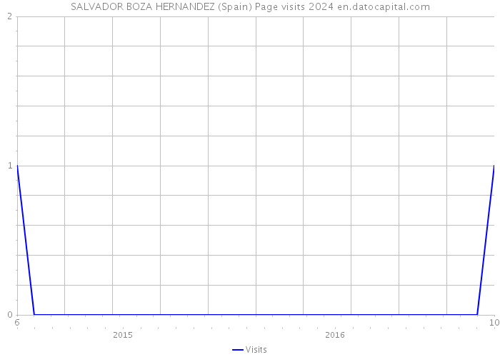 SALVADOR BOZA HERNANDEZ (Spain) Page visits 2024 