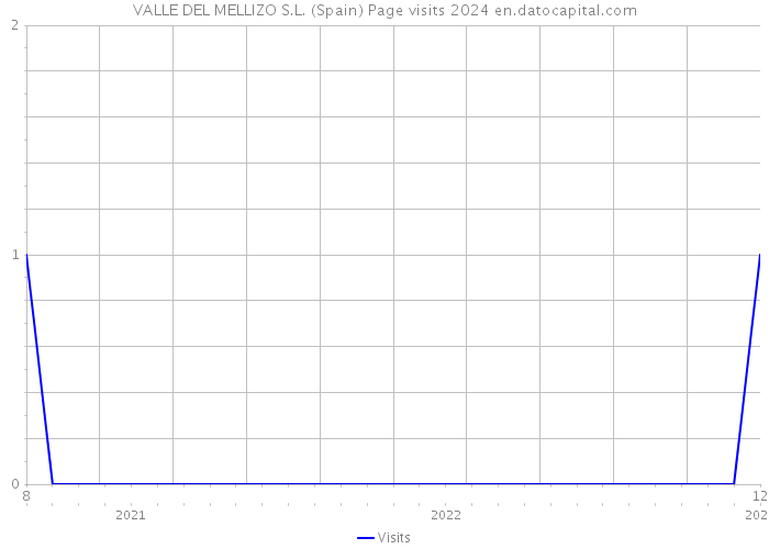 VALLE DEL MELLIZO S.L. (Spain) Page visits 2024 