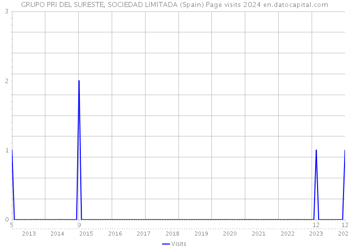 GRUPO PRI DEL SURESTE, SOCIEDAD LIMITADA (Spain) Page visits 2024 