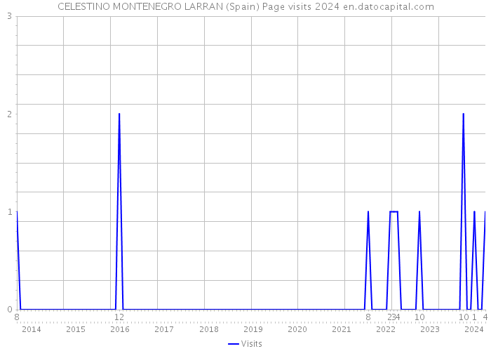 CELESTINO MONTENEGRO LARRAN (Spain) Page visits 2024 