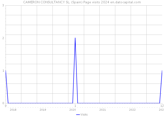 CAMERON CONSULTANCY SL. (Spain) Page visits 2024 