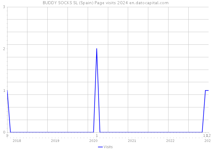 BUDDY SOCKS SL (Spain) Page visits 2024 