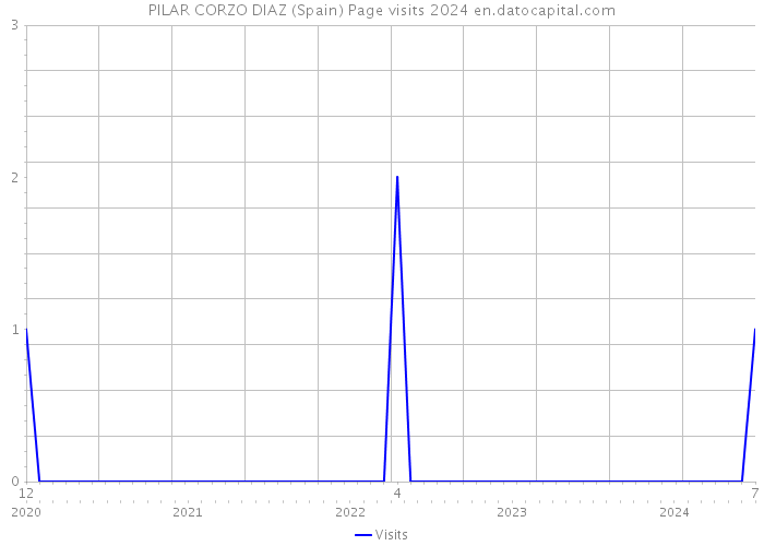 PILAR CORZO DIAZ (Spain) Page visits 2024 