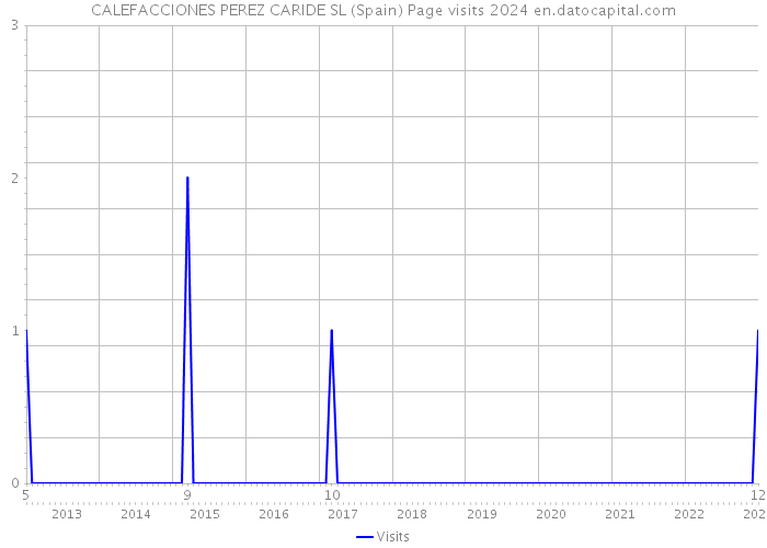 CALEFACCIONES PEREZ CARIDE SL (Spain) Page visits 2024 