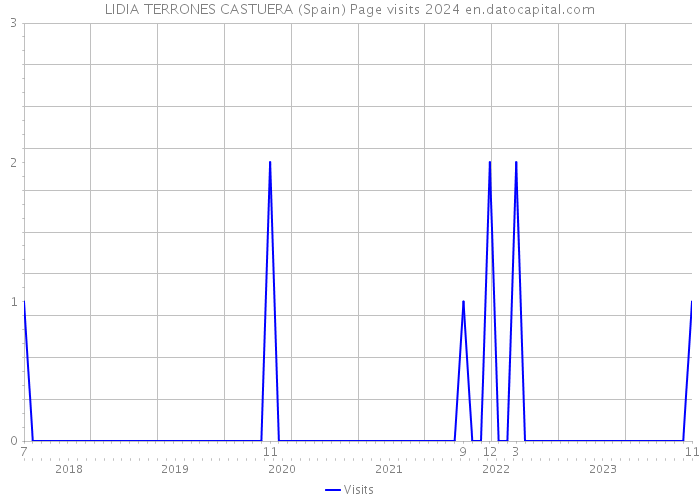 LIDIA TERRONES CASTUERA (Spain) Page visits 2024 