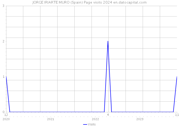 JORGE IRIARTE MURO (Spain) Page visits 2024 