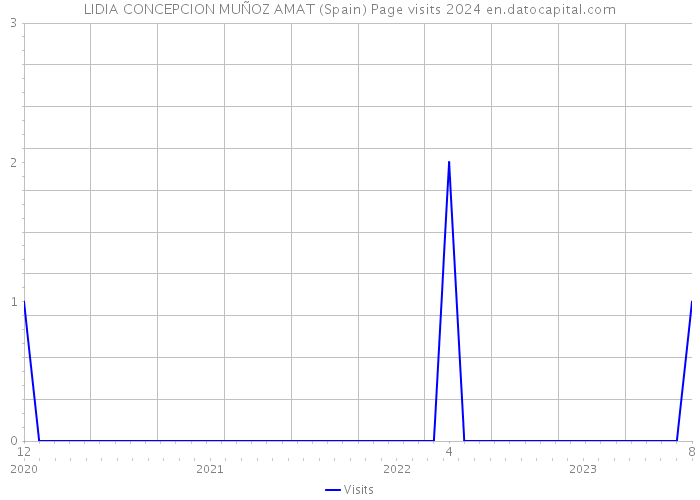 LIDIA CONCEPCION MUÑOZ AMAT (Spain) Page visits 2024 