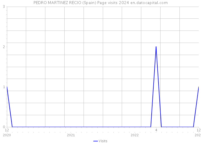 PEDRO MARTINEZ RECIO (Spain) Page visits 2024 
