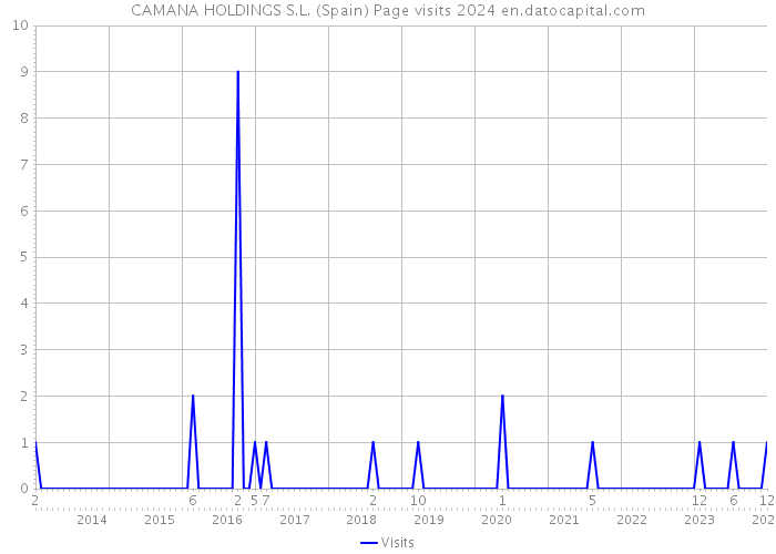 CAMANA HOLDINGS S.L. (Spain) Page visits 2024 