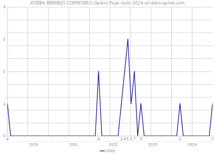 JOSEBA BERMEJO CORREYERO (Spain) Page visits 2024 