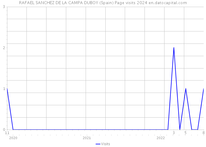 RAFAEL SANCHEZ DE LA CAMPA DUBOY (Spain) Page visits 2024 