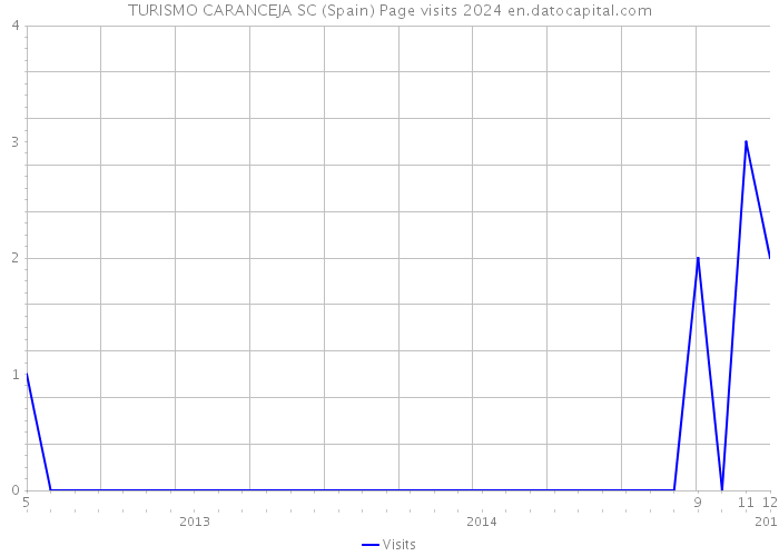 TURISMO CARANCEJA SC (Spain) Page visits 2024 