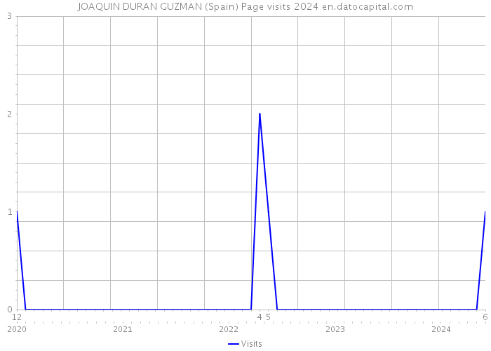 JOAQUIN DURAN GUZMAN (Spain) Page visits 2024 