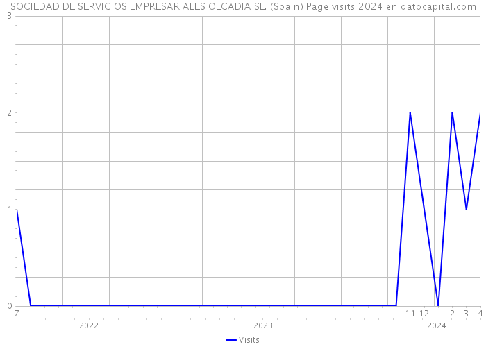 SOCIEDAD DE SERVICIOS EMPRESARIALES OLCADIA SL. (Spain) Page visits 2024 