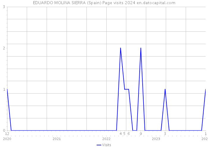 EDUARDO MOLINA SIERRA (Spain) Page visits 2024 