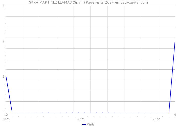 SARA MARTINEZ LLAMAS (Spain) Page visits 2024 