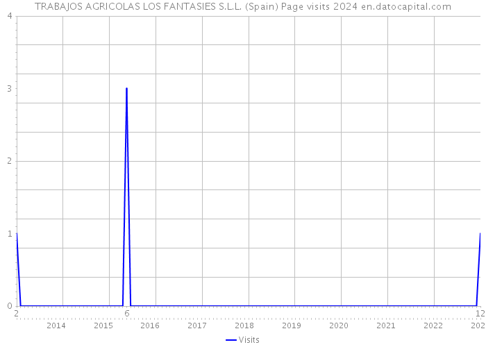 TRABAJOS AGRICOLAS LOS FANTASIES S.L.L. (Spain) Page visits 2024 