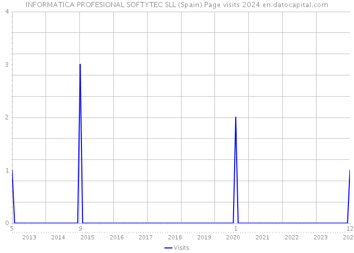 INFORMATICA PROFESIONAL SOFTYTEC SLL (Spain) Page visits 2024 