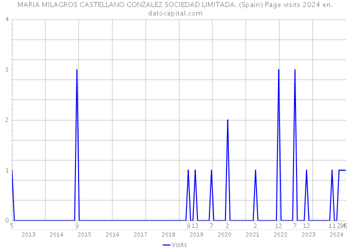 MARIA MILAGROS CASTELLANO GONZALEZ SOCIEDAD LIMITADA. (Spain) Page visits 2024 