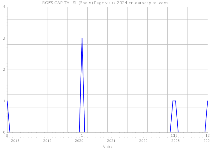 ROES CAPITAL SL (Spain) Page visits 2024 