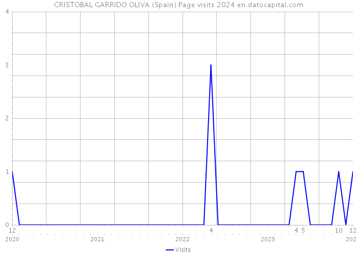 CRISTOBAL GARRIDO OLIVA (Spain) Page visits 2024 