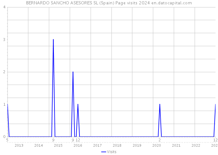 BERNARDO SANCHO ASESORES SL (Spain) Page visits 2024 